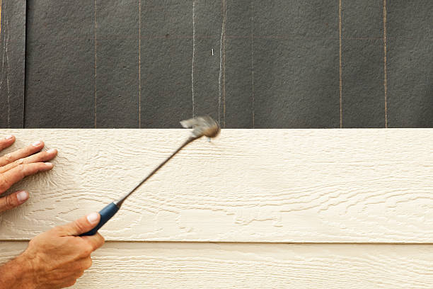 Affordable Siding Repair and Maintenance Services in Swifton, AR